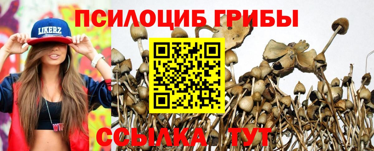 Псилоцибиновые грибы Magic Shrooms Майский