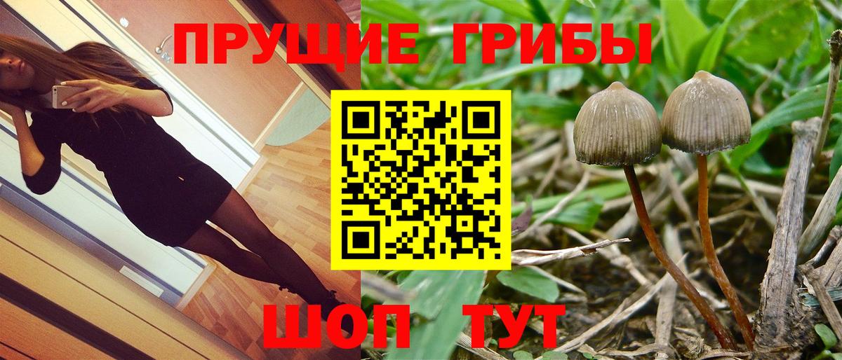 Галлюциногенные грибы Cubensis  Псилоцибиновые грибы GOLDEN TEACHER  Вход с VPN  Майский 
